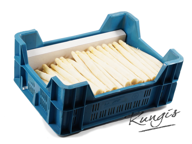 74925 Witte asperges AA per kist 5 kilo